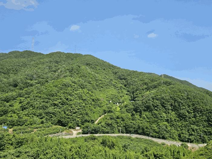 전라남도 광양시 옥곡면 묵백리 산50 임야 경매 사진 21