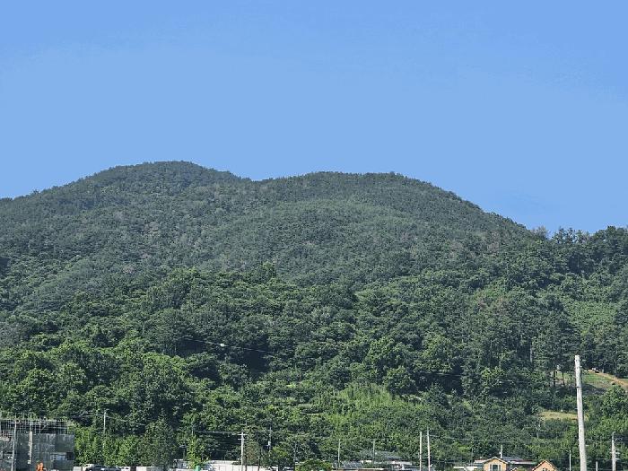 전라남도 광양시 진월면 마룡리 657-1 전 경매 사진 4
