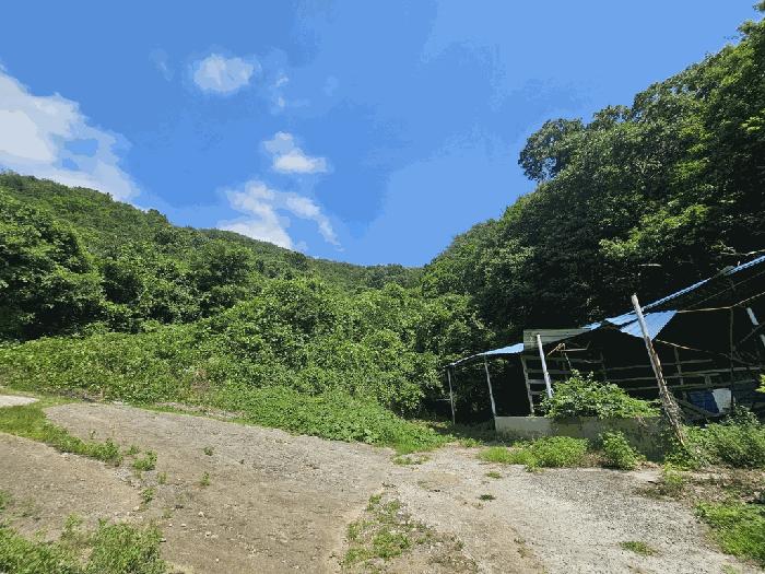 전라남도 광양시 진월면 마룡리 657-1 전 경매 사진 5
