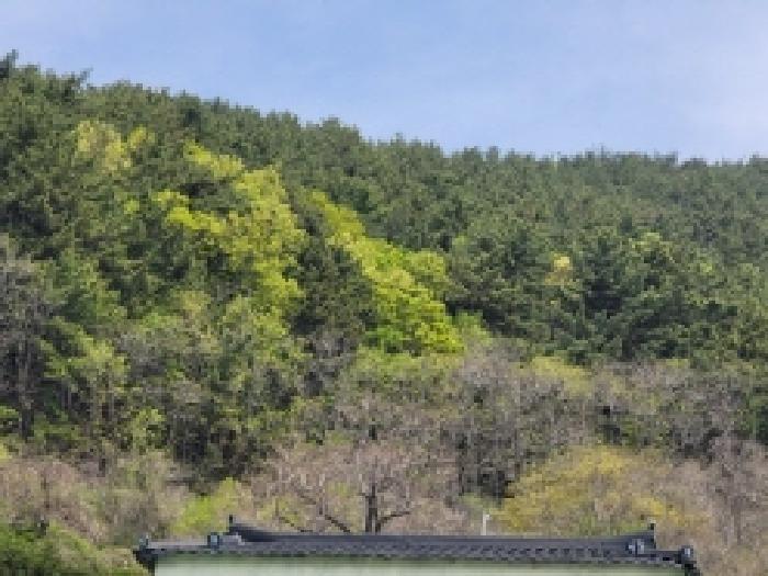 경상남도 통영시 한산면 하소리 540-2 전 경매 사진 13