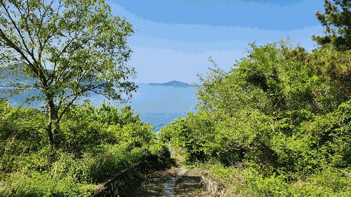 경상남도 통영시 한산면 하소리 540-2 전 경매 사진 4