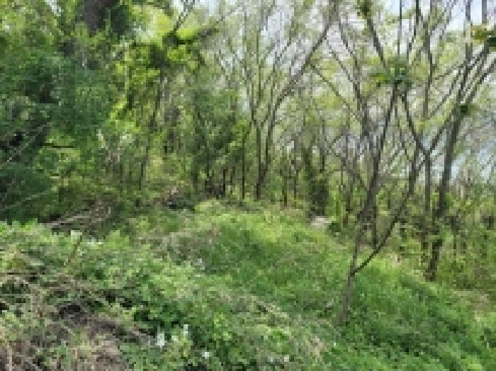 경상남도 통영시 한산면 하소리 540-2 전 경매 사진 8
