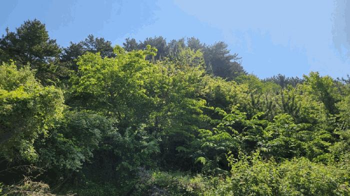 경상남도 통영시 한산면 하소리 512-4 답 경매 사진 1