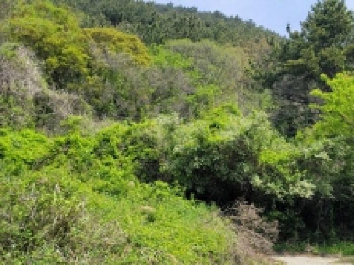 경상남도 통영시 한산면 하소리 512-4 답 경매 사진 10