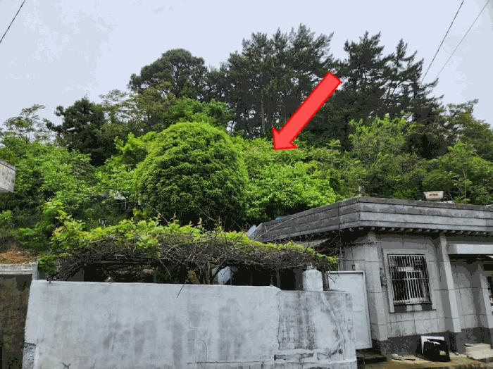 경상남도 통영시 산양읍 삼덕리 524-6 상가 경매 사진 4