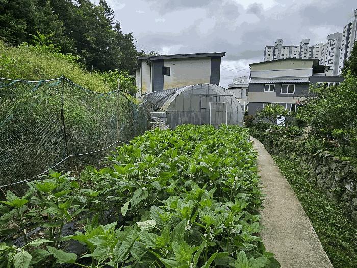 전라남도 순천시 생목동 98 주택 경매 사진 3
