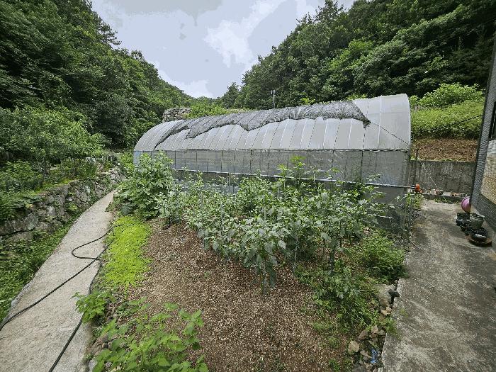 전라남도 순천시 생목동 98 주택 경매 사진 7