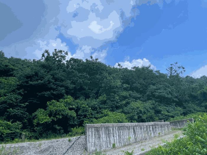 전북특별자치도 완주군 상관면 죽림리 산187 임야 경매 사진 2
