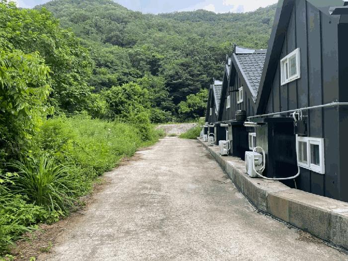 전북특별자치도 완주군 상관면 죽림리 산187 임야 경매 사진 3