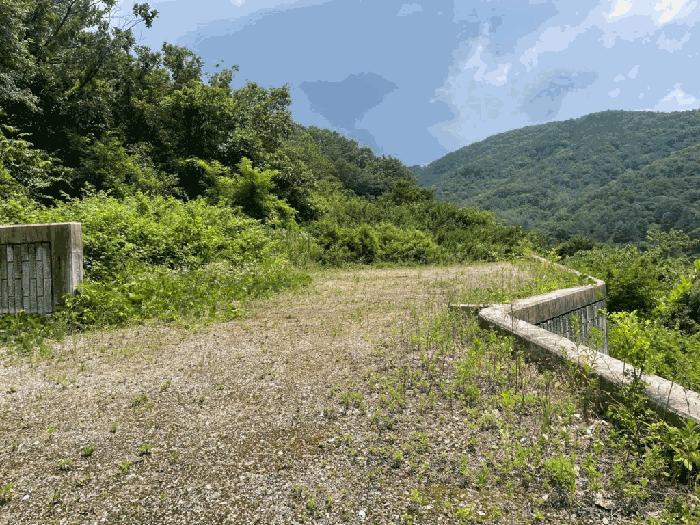 전북특별자치도 완주군 상관면 죽림리 산187 임야 경매 사진 4
