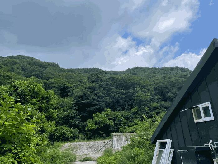 전북특별자치도 완주군 상관면 죽림리 산187 임야 경매 사진 8