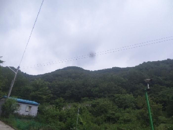 전북특별자치도 완주군 상관면 죽림리 산187 임야 경매 사진 9
