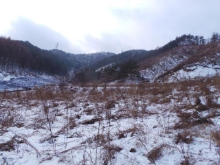 강원특별자치도 평창군 진부면 거문리 828-1 전 경매 사진 2