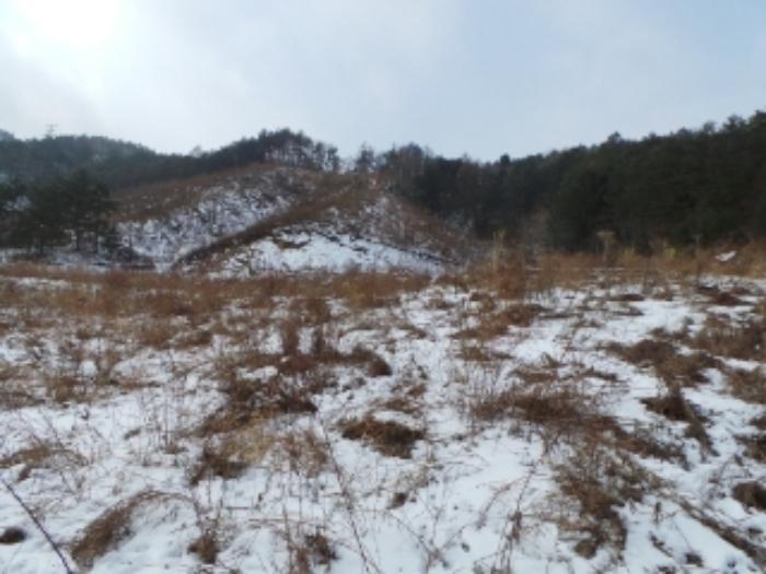 강원특별자치도 평창군 진부면 거문리 828-1 전 경매 사진 3