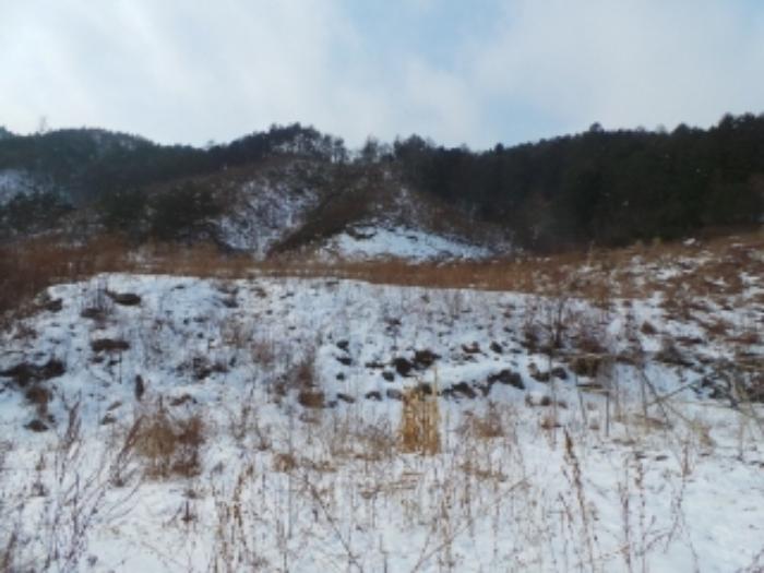 강원특별자치도 평창군 진부면 거문리 828-1 전 경매 사진 4