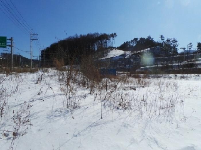 강원특별자치도 평창군 용평면 재산리 1429-6 전 경매 사진 6