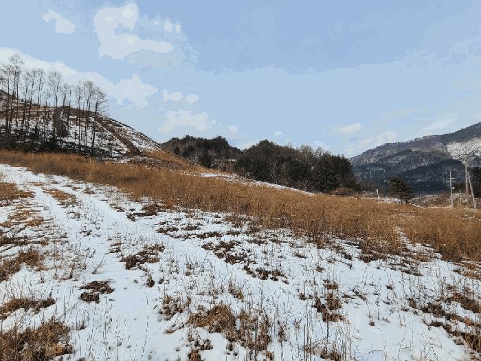 강원특별자치도 평창군 진부면 마평리 44-7 전 경매 사진 1