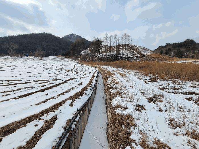강원특별자치도 평창군 진부면 마평리 44-7 전 경매 사진 4