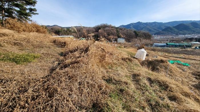 대구광역시 달성군 옥포읍 김흥리 산185 임야 경매 사진 1