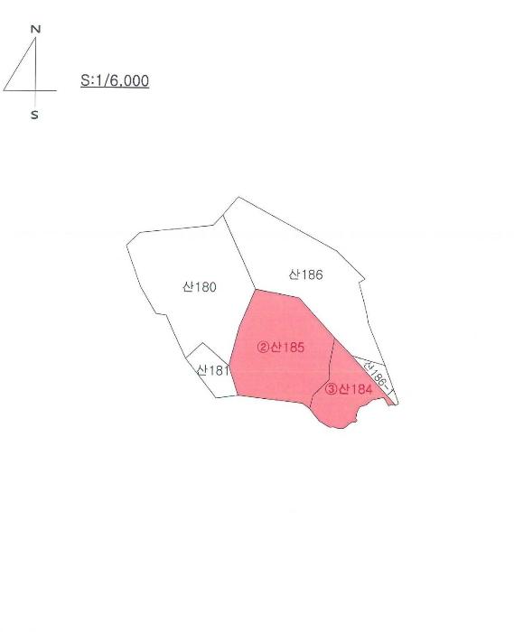 대구광역시 달성군 옥포읍 김흥리 산185 임야 경매 사진 13