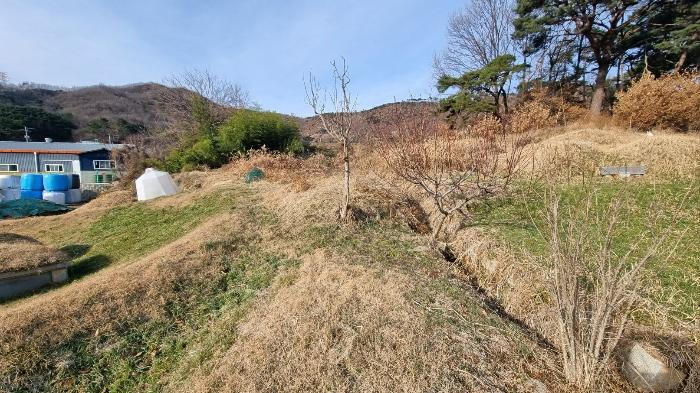 대구광역시 달성군 옥포읍 김흥리 산185 임야 경매 사진 4