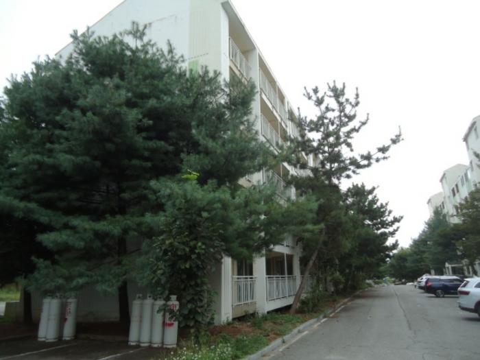 경기도 평택시 포승읍 석정리 산60-5 평택늘사랑아파트 6동 5층501호 아파트 경매 사진 4