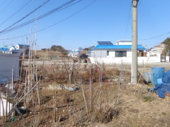 충청남도 태안군 고남면 고남리 347 전 경매 사진 12