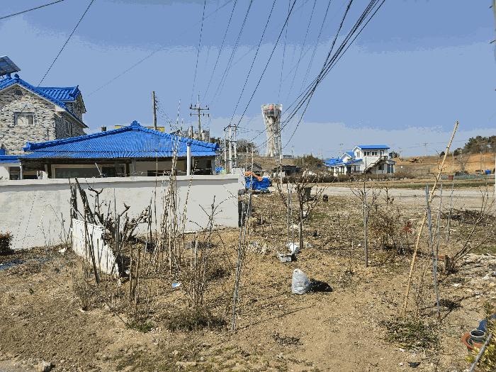 충청남도 태안군 고남면 고남리 347 전 경매 사진 2