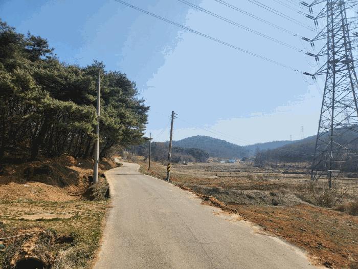 충청남도 당진시 송악읍 월곡리 315 답 경매 사진 1