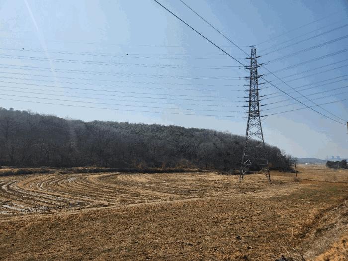 충청남도 당진시 송악읍 월곡리 315 답 경매 사진 2