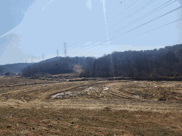 충청남도 당진시 송악읍 월곡리 315 답 경매 사진 3