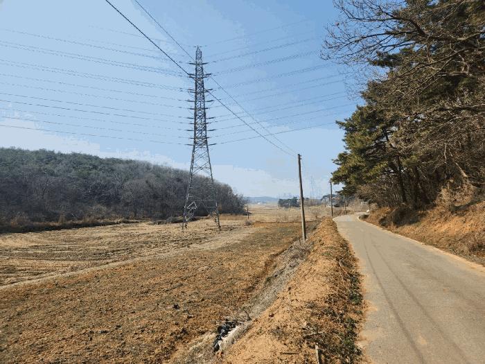 충청남도 당진시 송악읍 월곡리 315 답 경매 사진 4