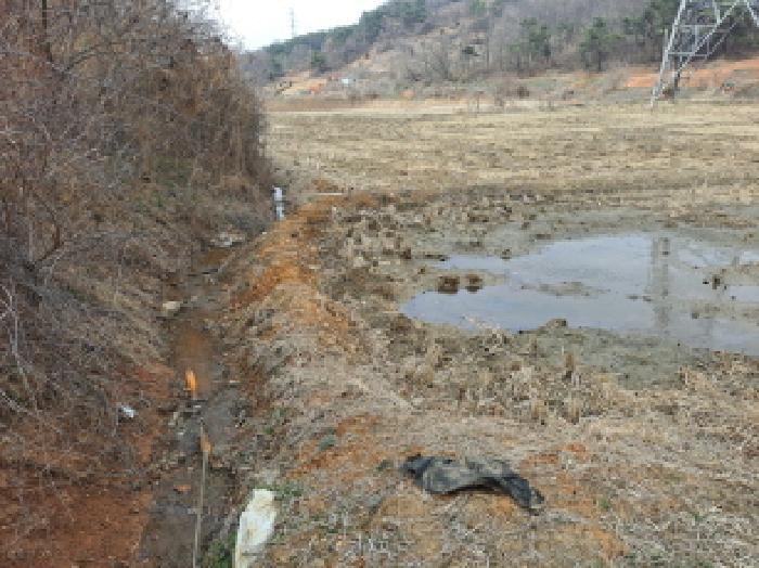 충청남도 당진시 송악읍 월곡리 315 답 경매 사진 5