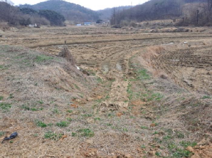 충청남도 당진시 송악읍 월곡리 315 답 경매 사진 8