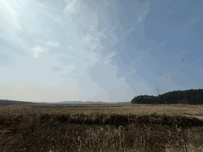 충청남도 태안군 남면 양잠리 434-14 임야 경매 사진 3
