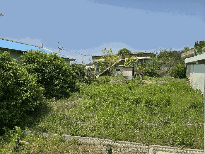 경기도 평택시 팽성읍 함정리 128-2 주택 경매 사진 8