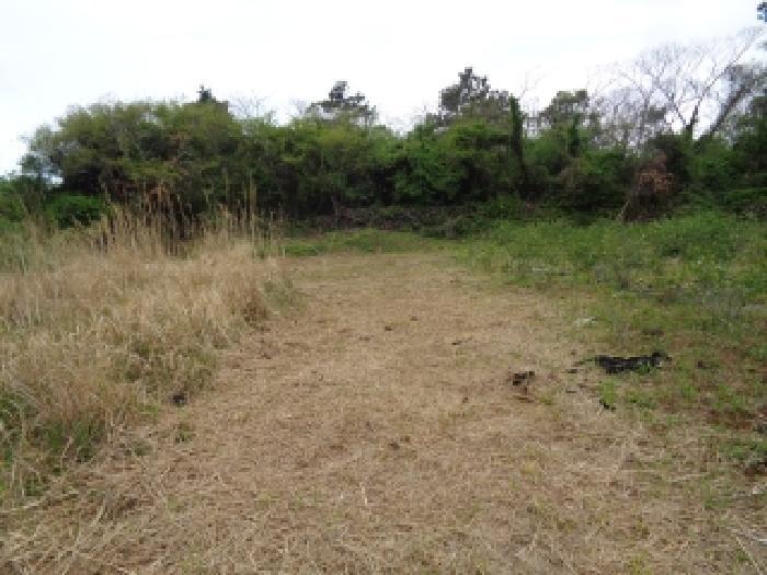 제주특별자치도 제주시 한경면 낙천리 356-7 전 경매 사진 7