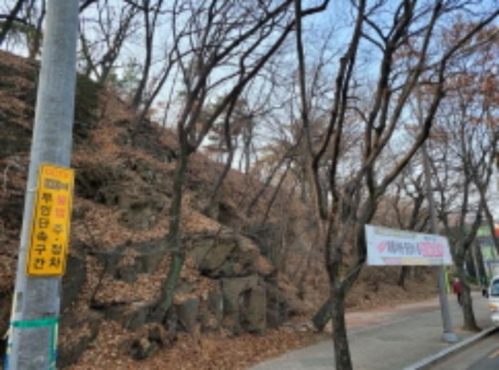 대구광역시 수성구 두산동 612-15 임야 경매 사진 5