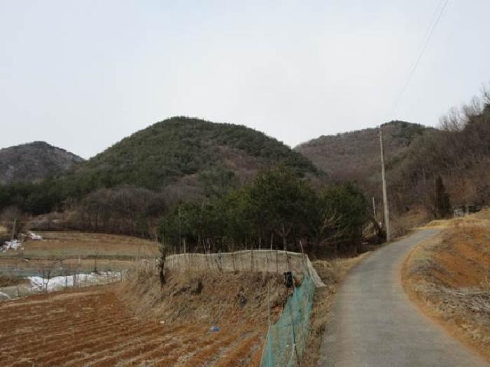 경상북도 문경시 가은읍 작천리 655 전 경매 사진 3