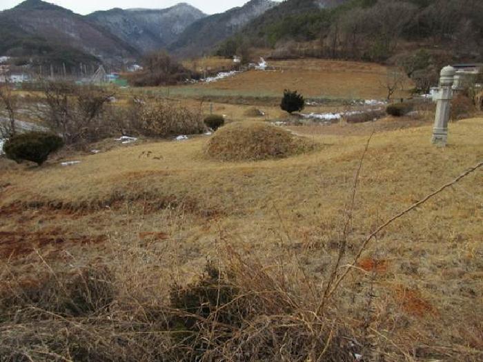 경상북도 문경시 가은읍 작천리 655 전 경매 사진 7