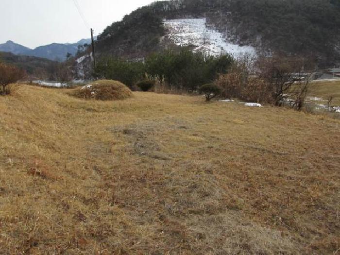 경상북도 문경시 가은읍 작천리 655 전 경매 사진 8