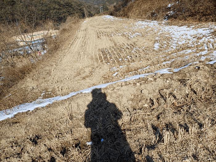 경상북도 상주시 내서면 서만리 403 답 경매 사진 1