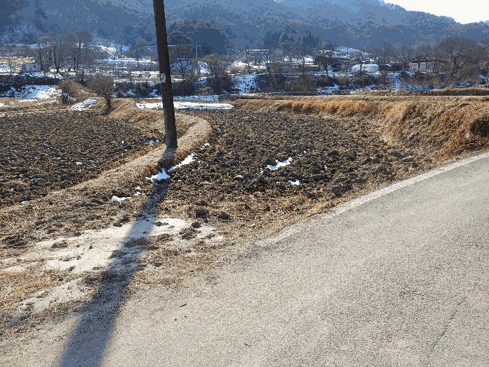 경상북도 상주시 내서면 서만리 403 답 경매 사진 10