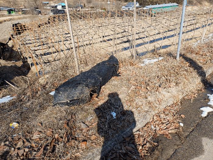 경상북도 상주시 내서면 서만리 403 답 경매 사진 12