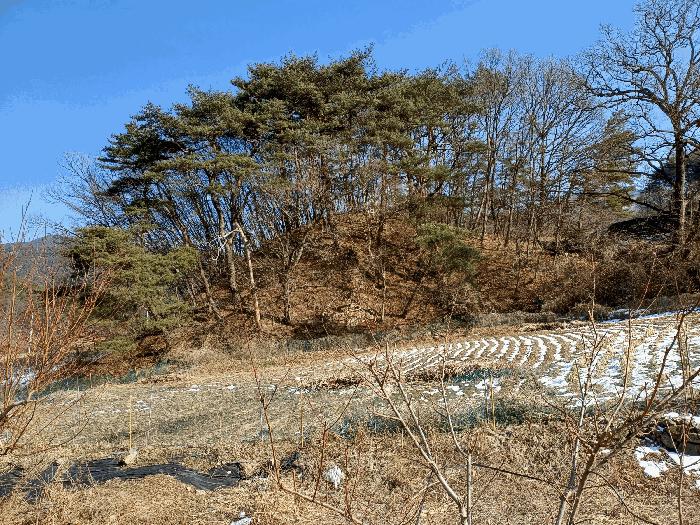 경상북도 상주시 내서면 서만리 403 답 경매 사진 16