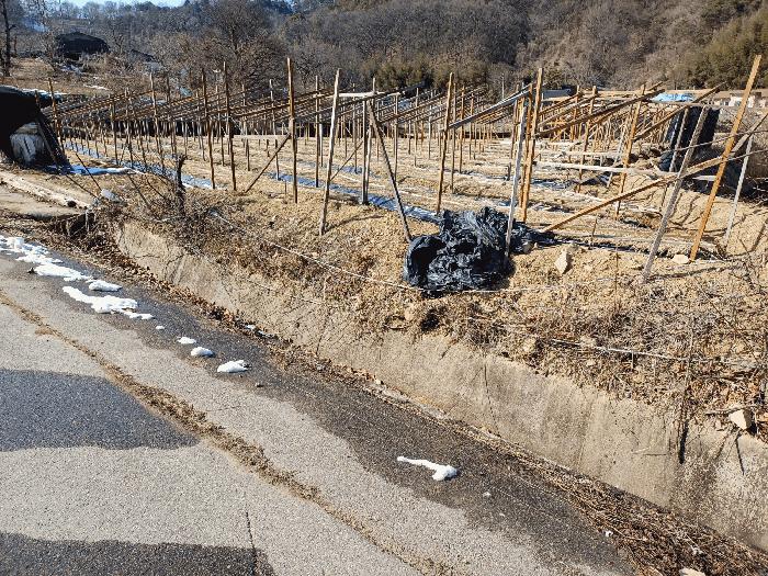 경상북도 상주시 내서면 서만리 403 답 경매 사진 17