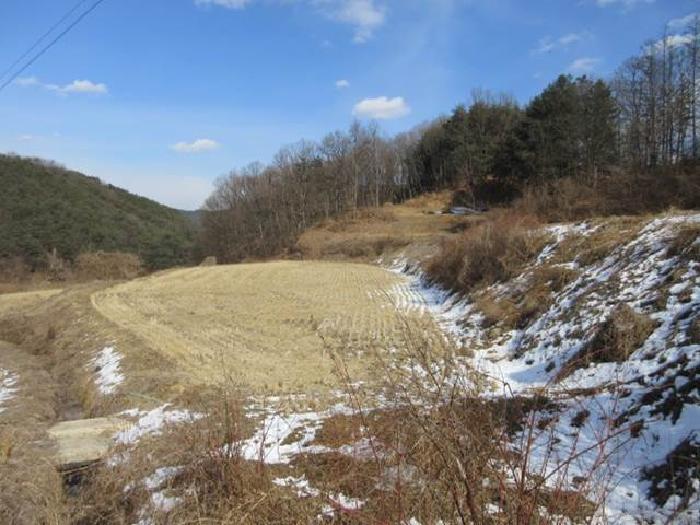 경상북도 상주시 내서면 서만리 403 답 경매 사진 20