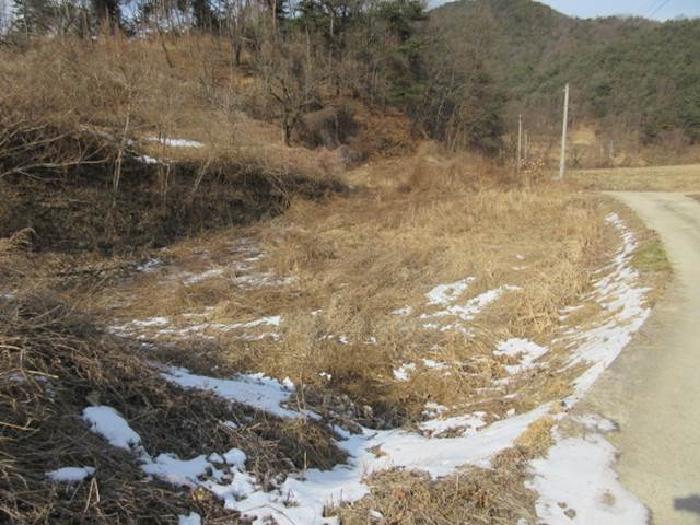 경상북도 상주시 내서면 서만리 403 답 경매 사진 23