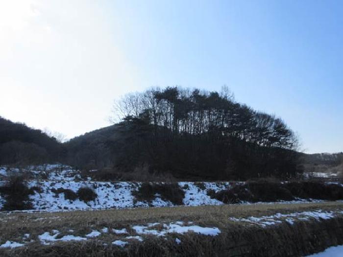 경상북도 상주시 내서면 서만리 403 답 경매 사진 27