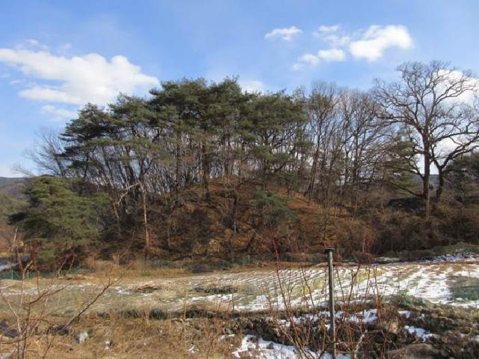 경상북도 상주시 내서면 서만리 403 답 경매 사진 28